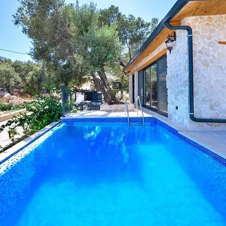 Firnaz 1 Bedroom Seaview With Private Pool فيلة