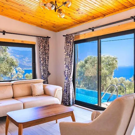 Firnaz 1 Bedroom Seaview With Private Pool *