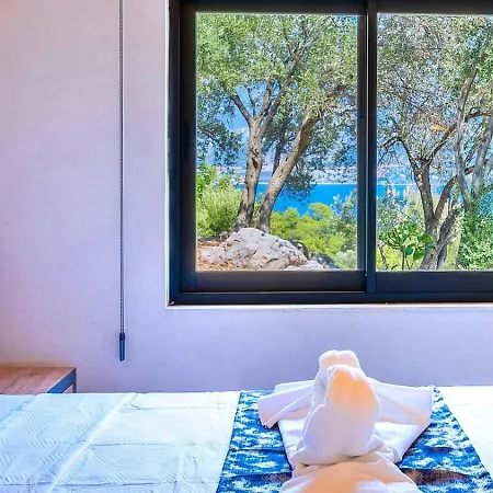 Villa Firnaz 1 Bedroom Seaview With Private Pool *
