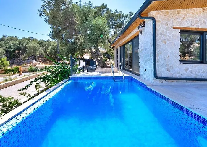 Firnaz 1 Bedroom Seaview With Private Pool Villa