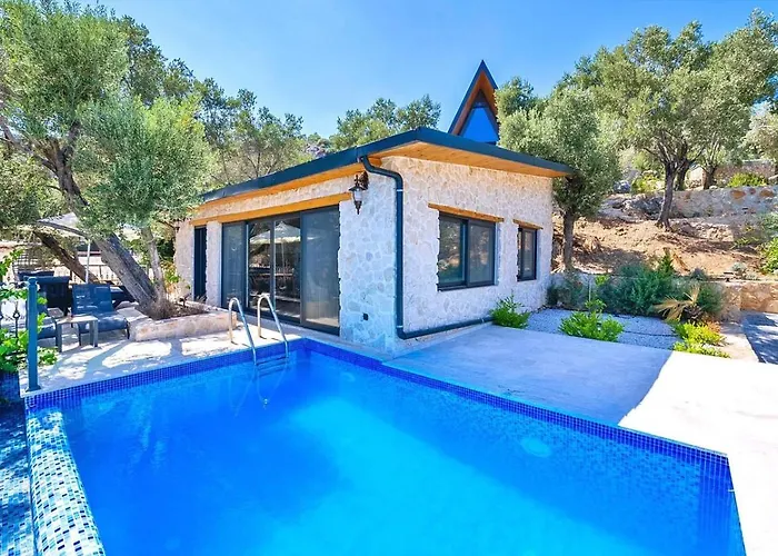 Villa Firnaz 1 Bedroom Seaview With Private Pool *