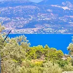Firnaz 1 Bedroom Seaview With Private Pool *